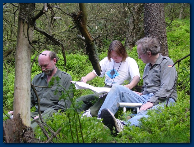 600x449 pixels (185K)